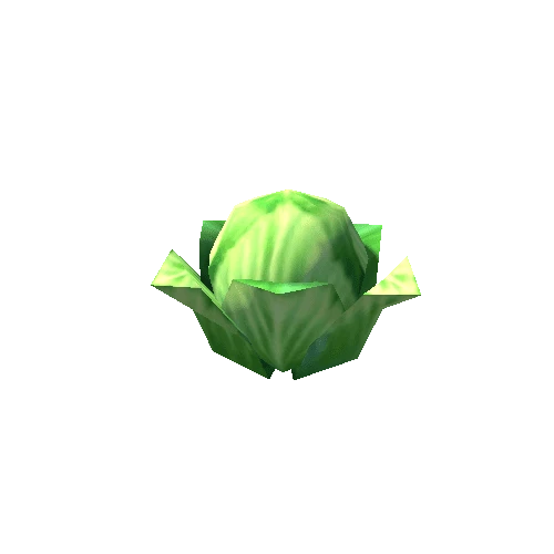 Object_Cabbage2