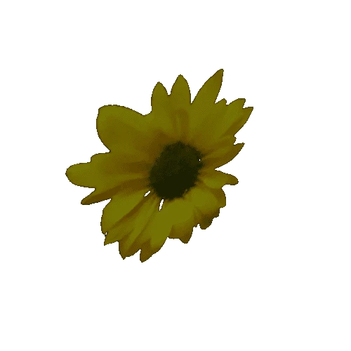 flower_04