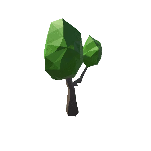 Tree_04