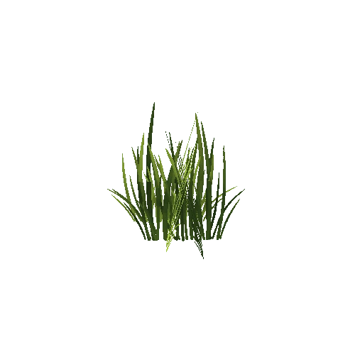 plant_02