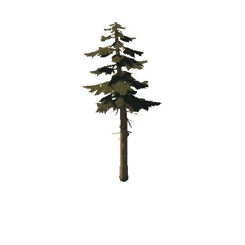 tree_01