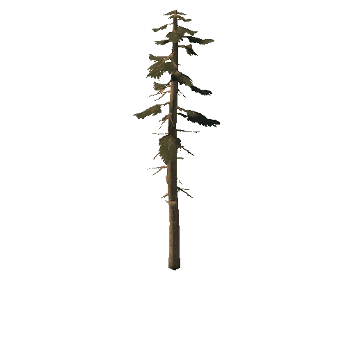 tree_02