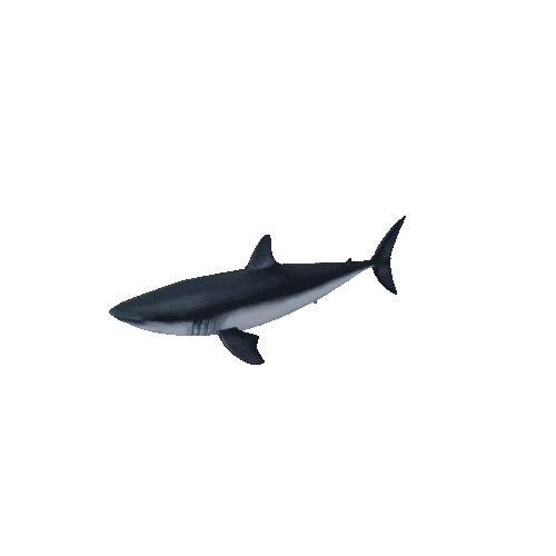 Shark_skin
