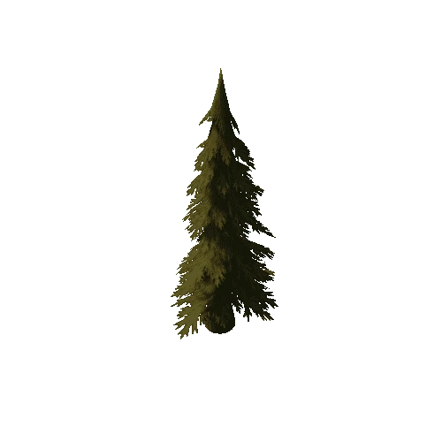 Pine03