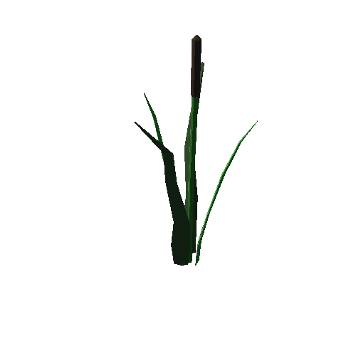 CatTails_1