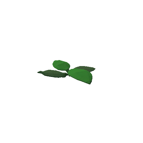 Pad_Plant_4_Leaves_Bare