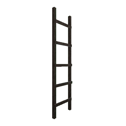 Ladder