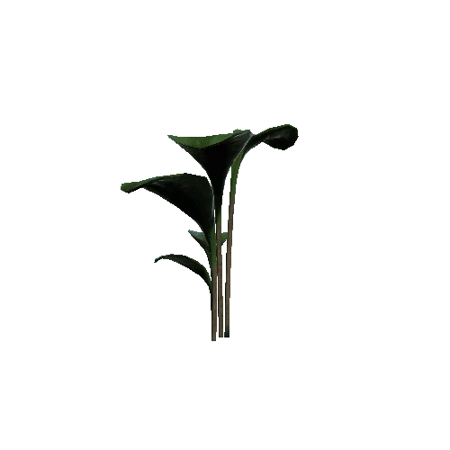 Plant_9