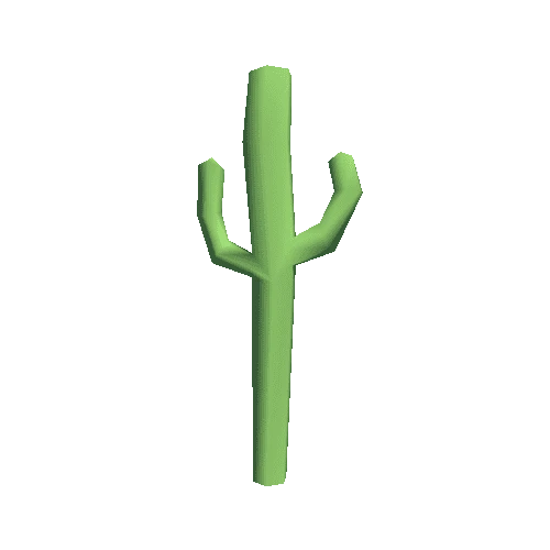 SpringA_Cactus_B