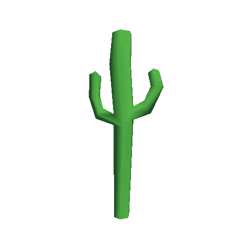 SpringB_Cactus_B