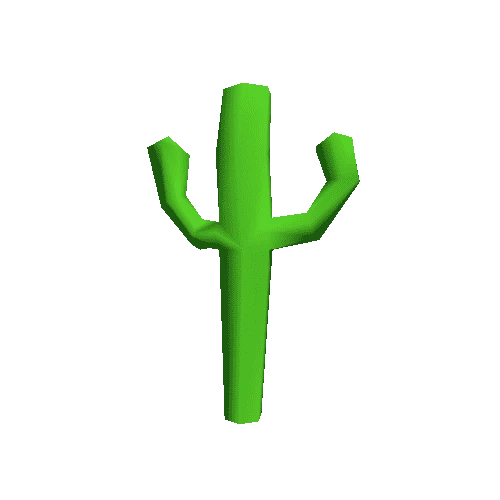 SpringD_Cactus_A