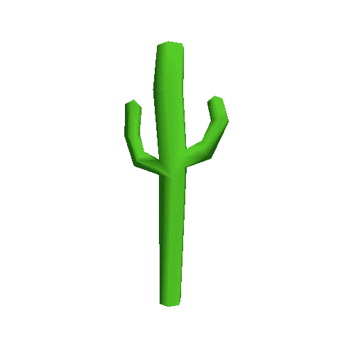SpringD_Cactus_B