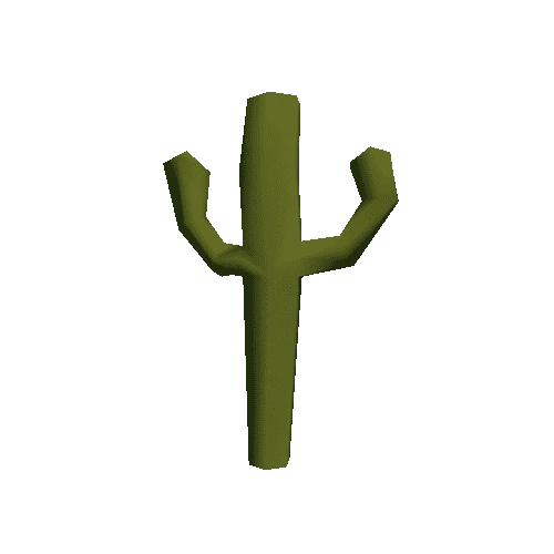 SummerB_Cactus_A