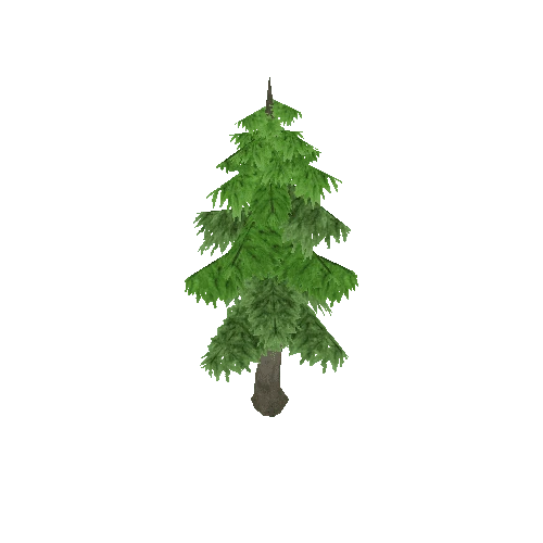 Tree1