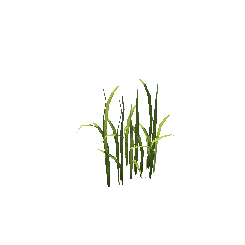 grass_01