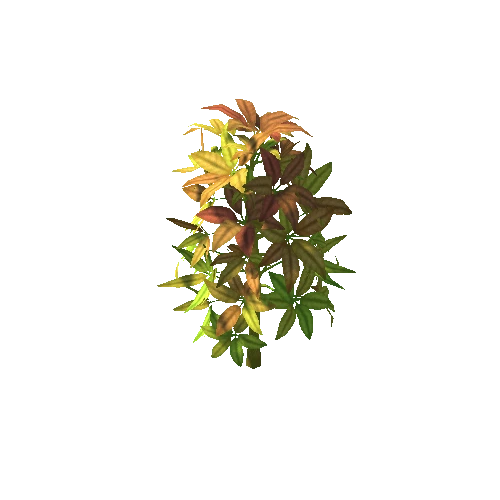 plants_01