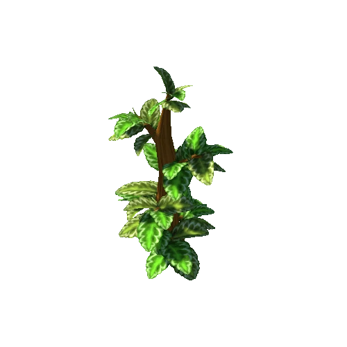 plants_05