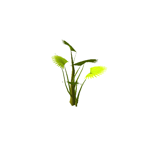 plants_19