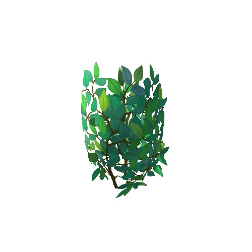 plants_22