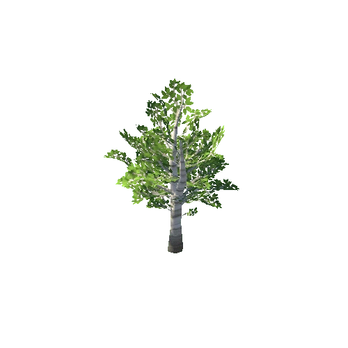 tree_07