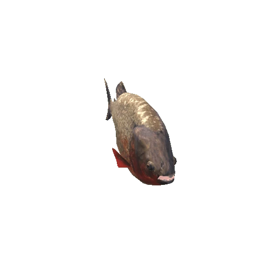 piranha