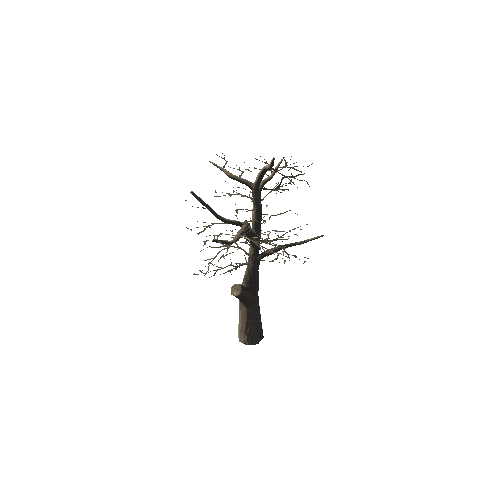 tree_01