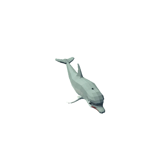 Dolphin@DolphinFastSwim