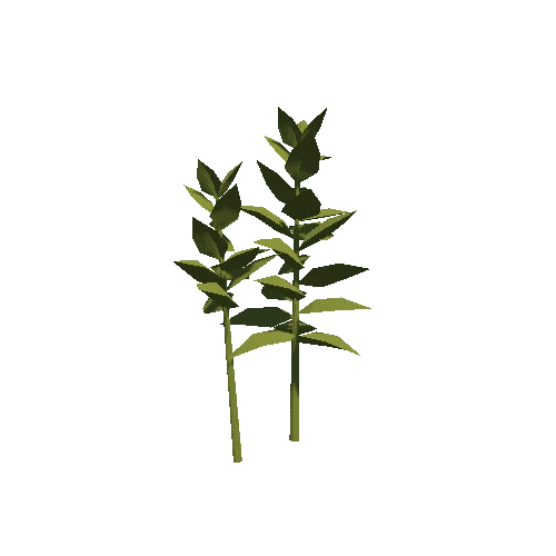 Plant_03