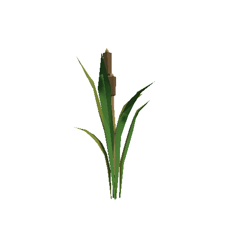 Plant_07