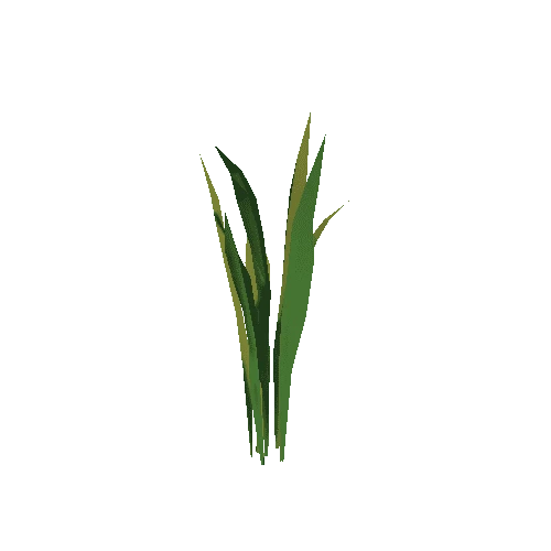 Plant_08