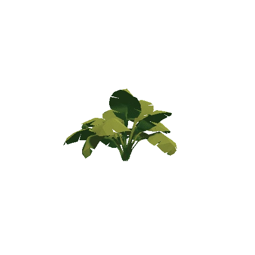Plant_09