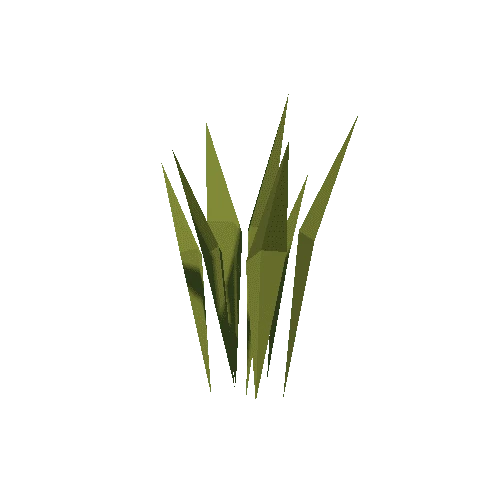 Plant_grass