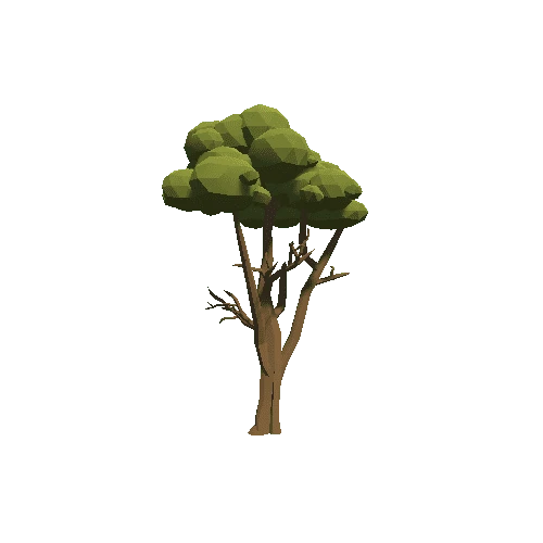 Tree_04