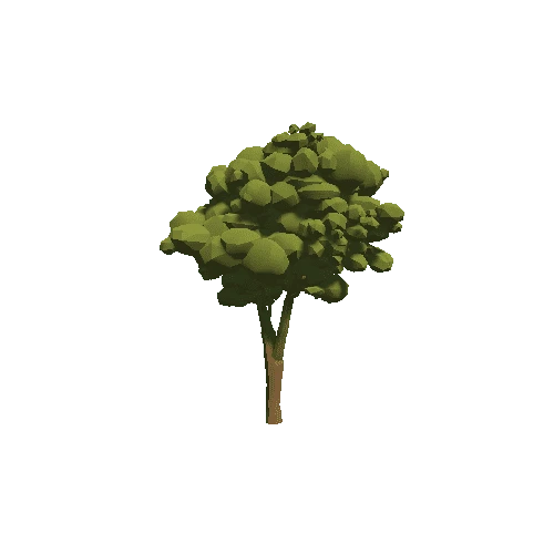 Tree_09