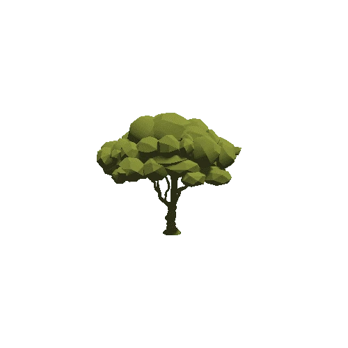 Tree_11