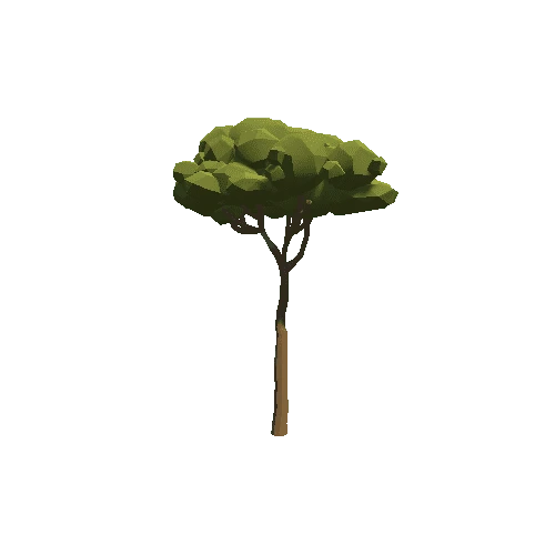 Tree_12