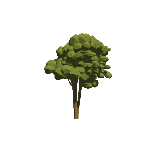 Tree_13