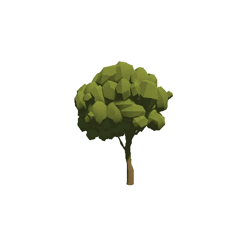 Tree_14