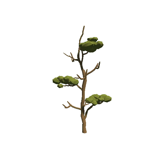 Tree_16