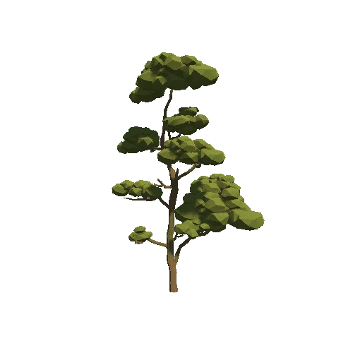 Tree_17