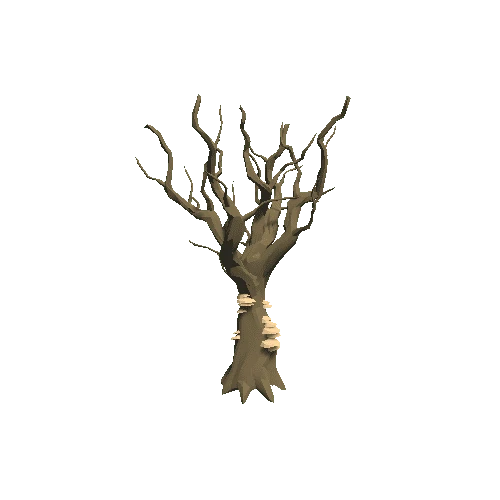 Tree_Old_01