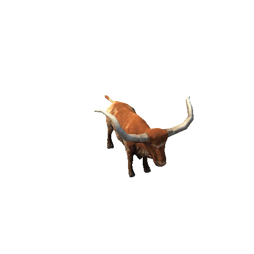 Bull_Texas_Long_Horn_FV_RM_SLP