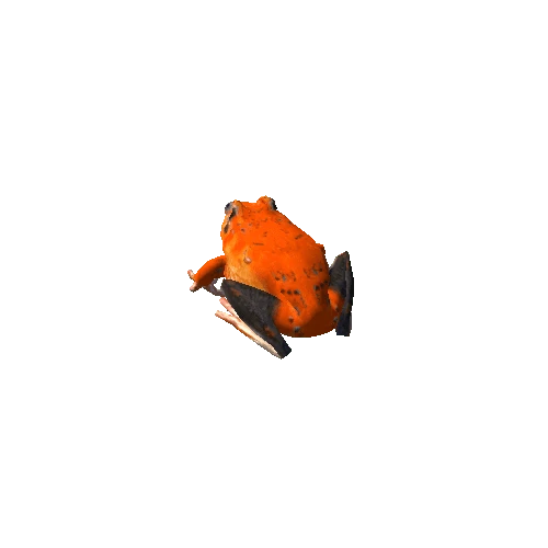 frog_Orange