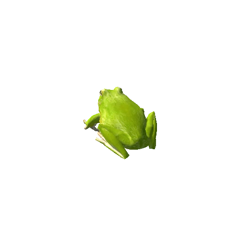 frog_green