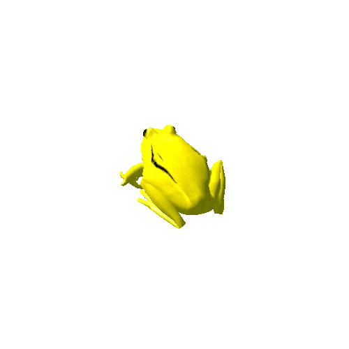 frog_yellow