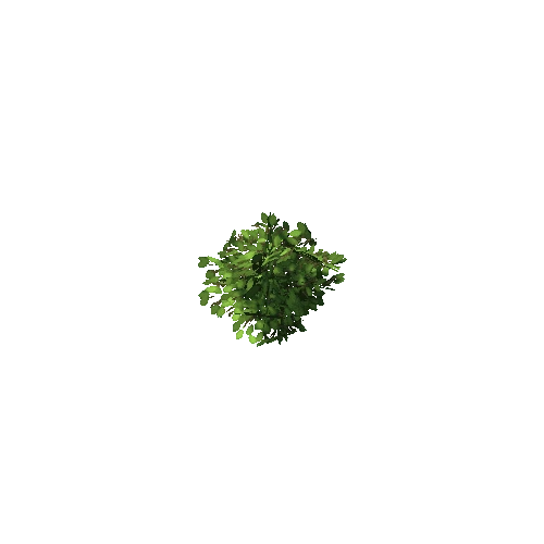 Bush01_GREEN