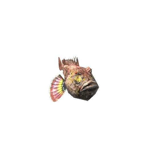 Stonefish