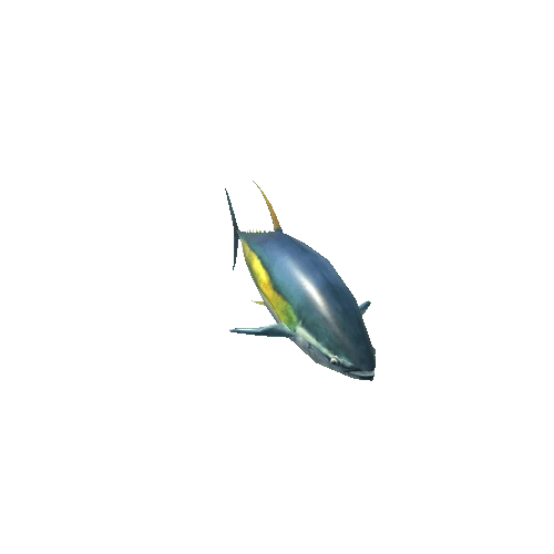 Tuna