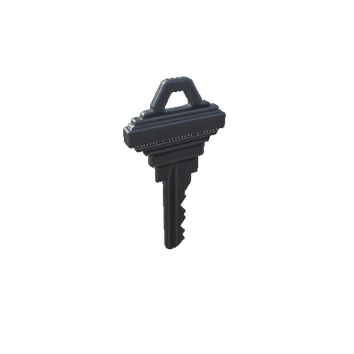 P_Key_06