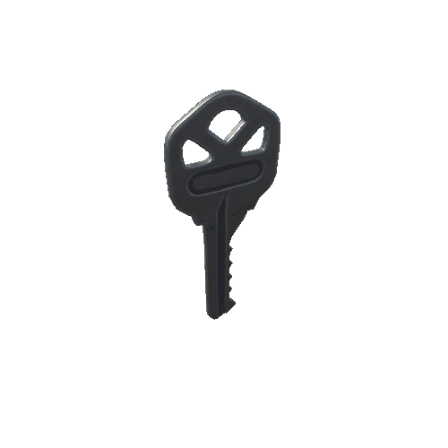 P_Key_07